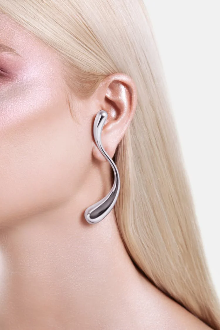 Large S-Shaped Drop Earrings - silver